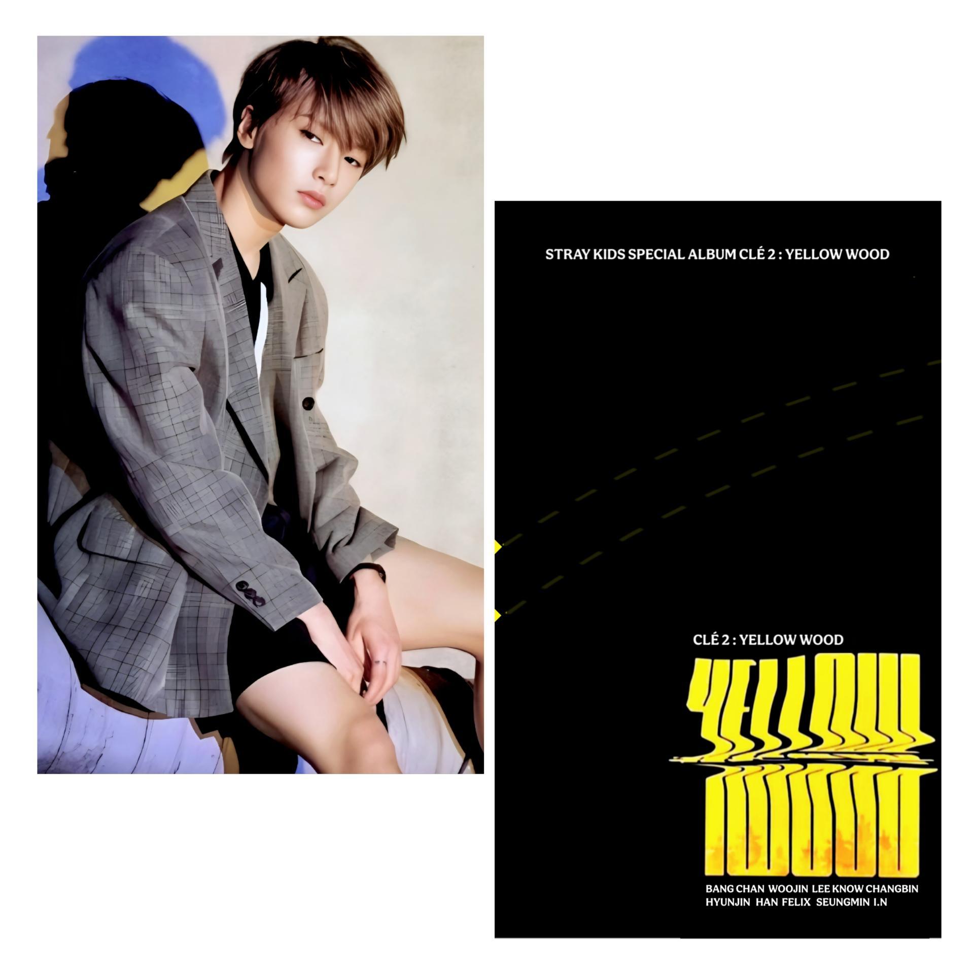 Stray Kids : Yellow Wood POB I.N Photocards
