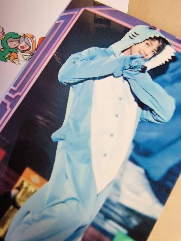 BTS - 4th Muster DVD photocards