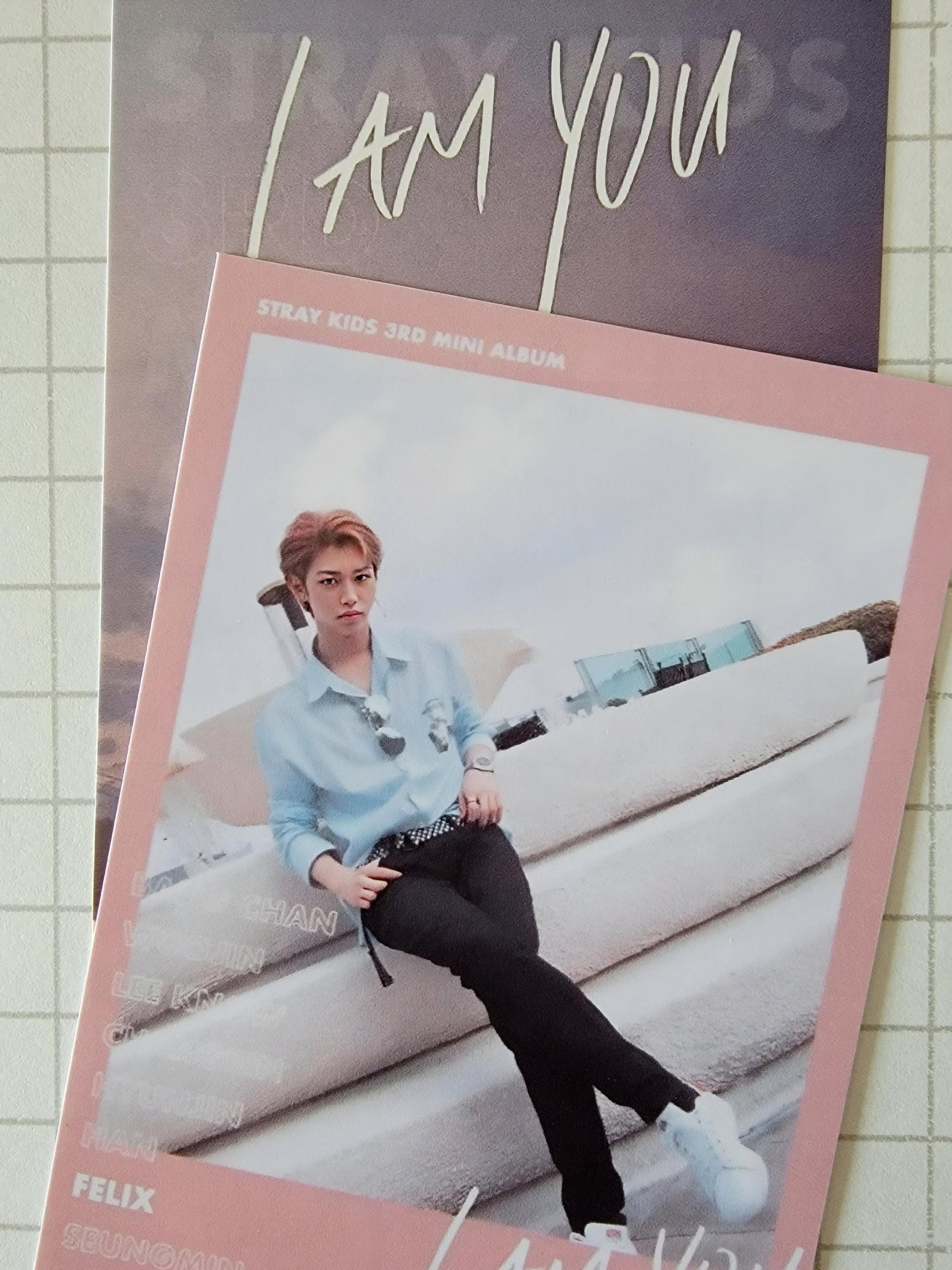 Stray Kids - I am You Mini Polaroid | Stay DeLulu!