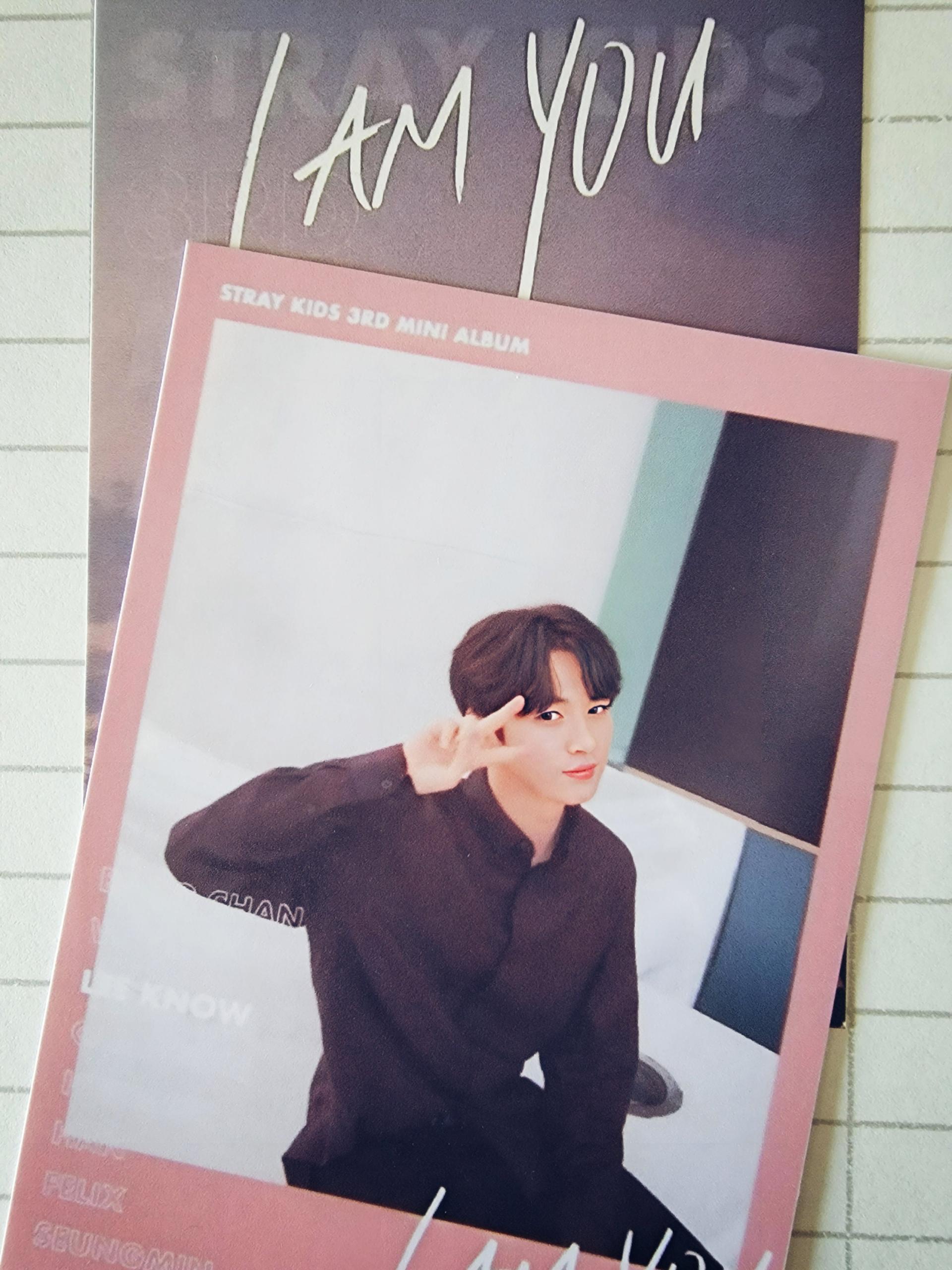Stray Kids - I am You Mini Polaroid | Stay DeLulu!