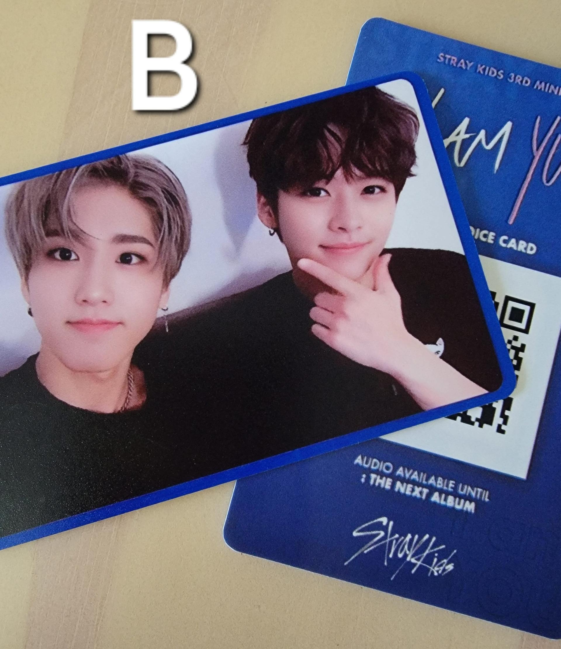 マイン 集じんキット DK 期間限定 ポイント10倍 マイン 集じんキット DK 期間限定 ポイント10倍