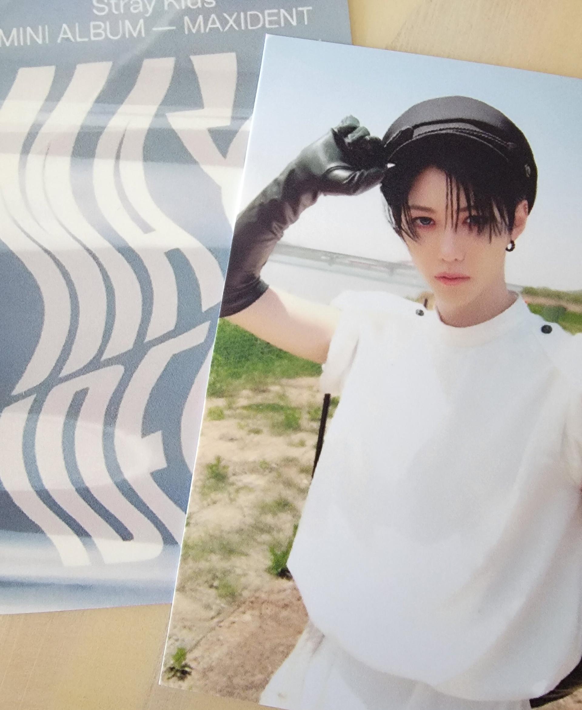 MAXIDENT リノ B&N Stray Kids Maxident Barnes & Noble POB Photocards - Etsy