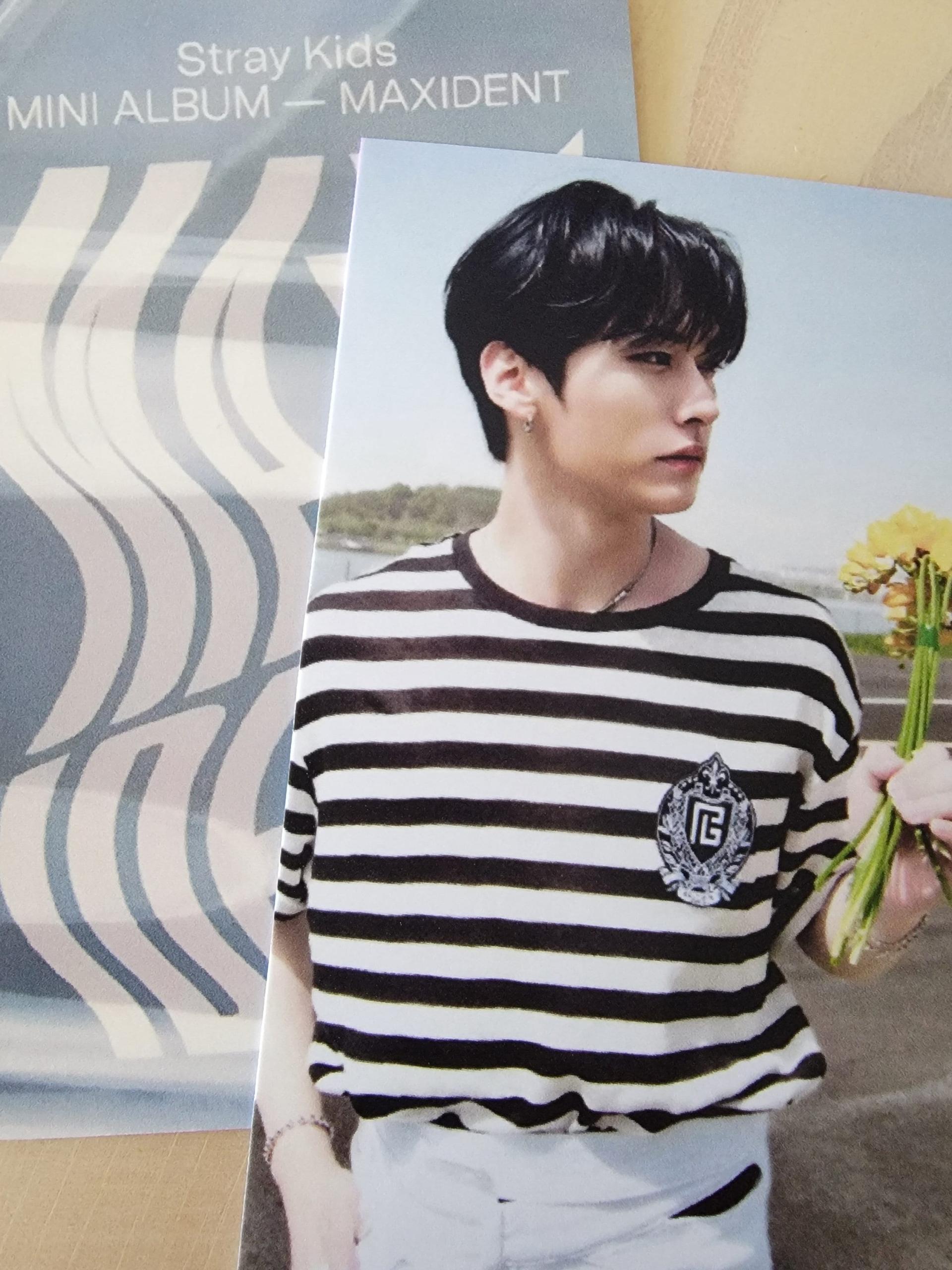 SKZ - Maxident Barnes & Noble POB | Stay DeLulu!