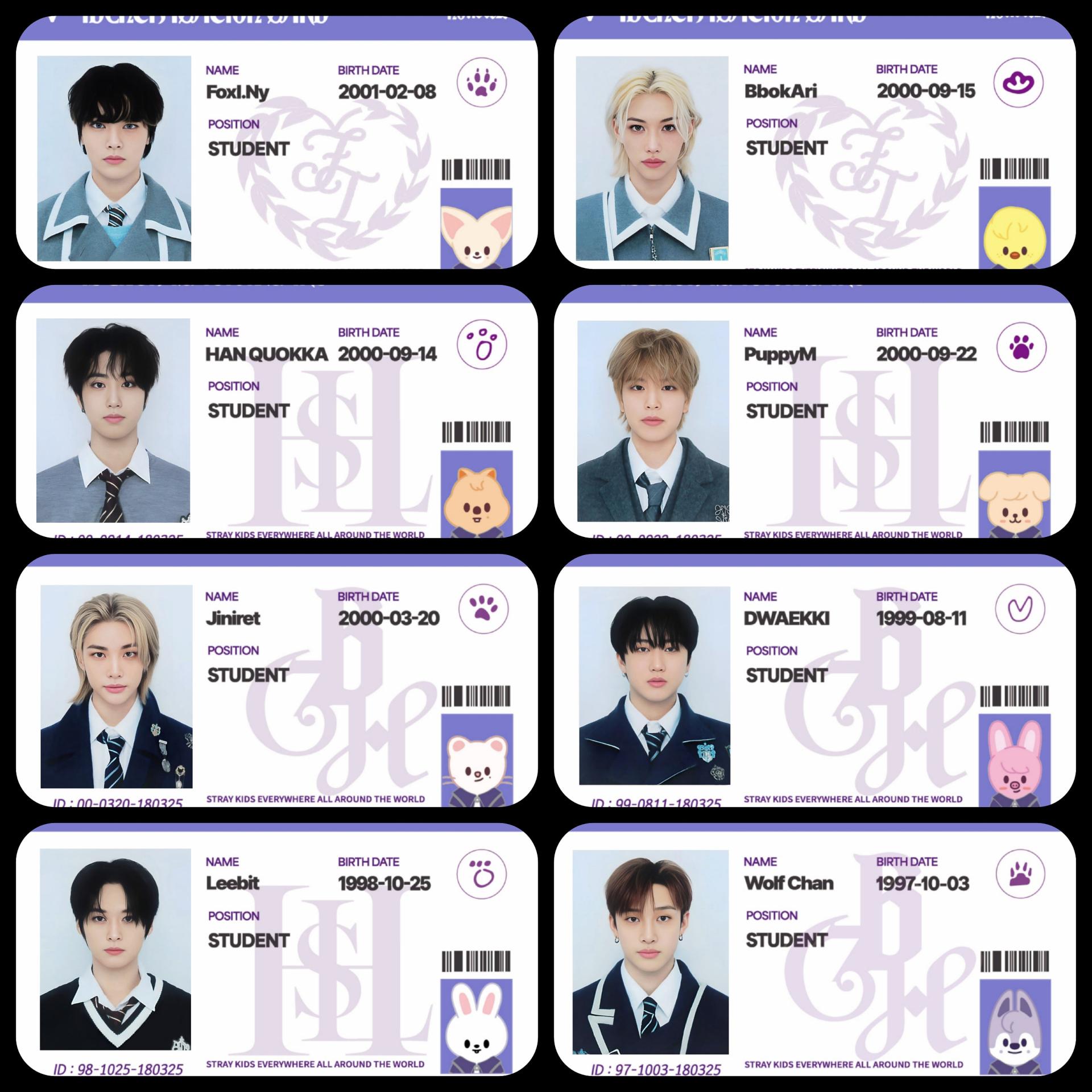 Stray Kids - Magic School 4th fanmeeting ID Cards photocards