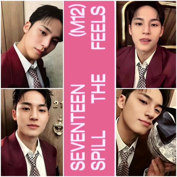 17 - Spill The Feels Carat Edition - Mingyu Photocards