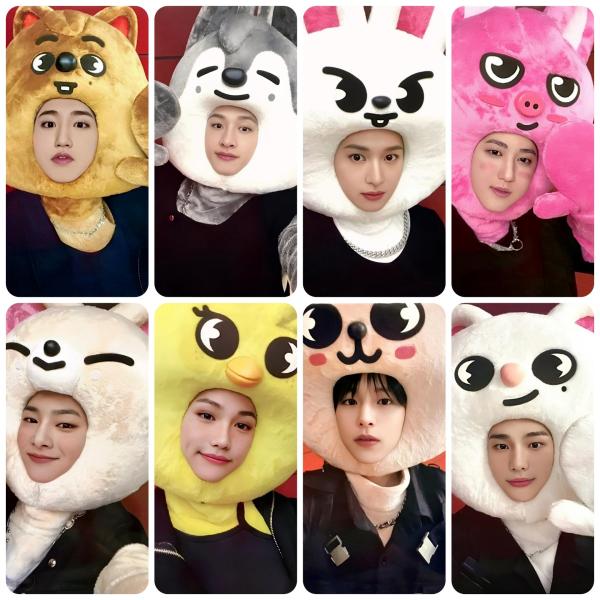 SKZ Maxident JYP Shop POB Photocards