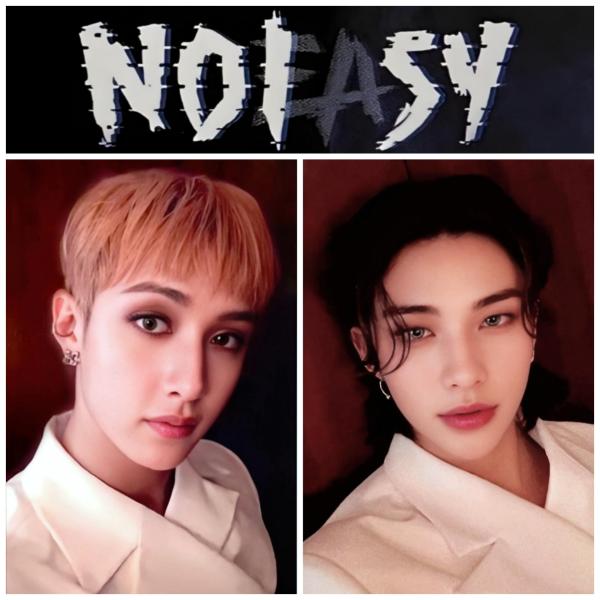 Stray Kids No Easy SUBK Japan Photocards 