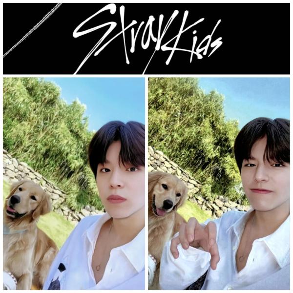 SKZ : Stay In Jeju - Skzoo Store Seungmin POB Photocards