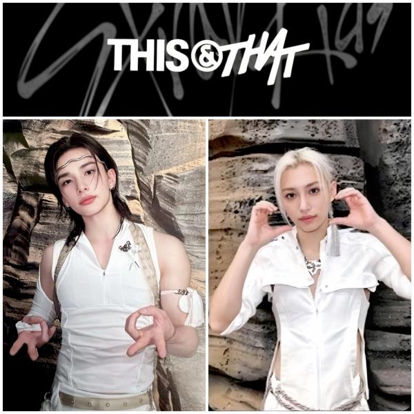Stray Kids : This or That Kpop Nara Photocards