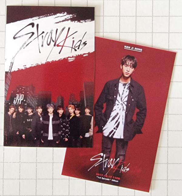 Stray Kids pre Debut Survival Show Photocards