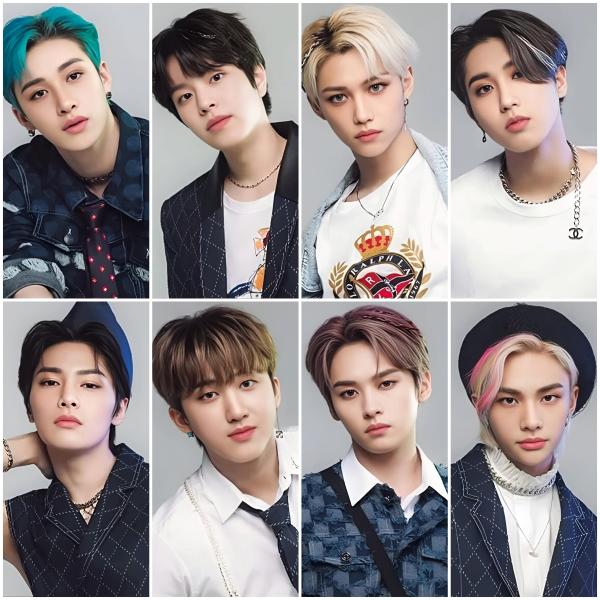 Stray Kids Nikkei Benefit Photocards