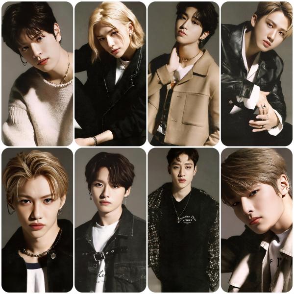 Stray Kids Cancam 2020 Photocards