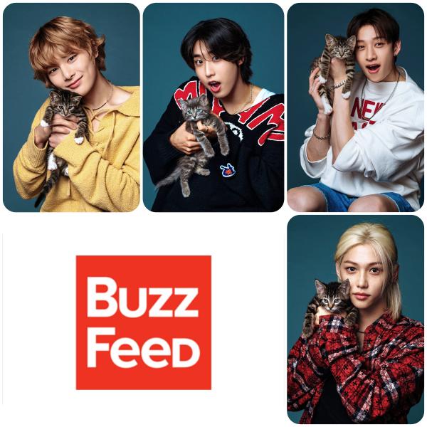 Stray Kids x Buzz Feed with Cats Photocards