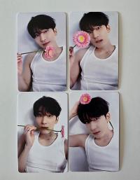 Seventeen : Wonwoo - 17 is Right Here Dear Ver Photocards 
