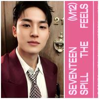 17 - Spill The Feels Carat Edition - Mingyu Photocards