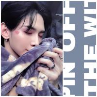 ATEEZ From The Witness Poca Blanket Photocards