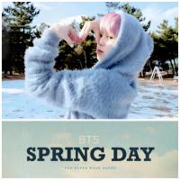 BTS Spring Day Broadcast Photocards