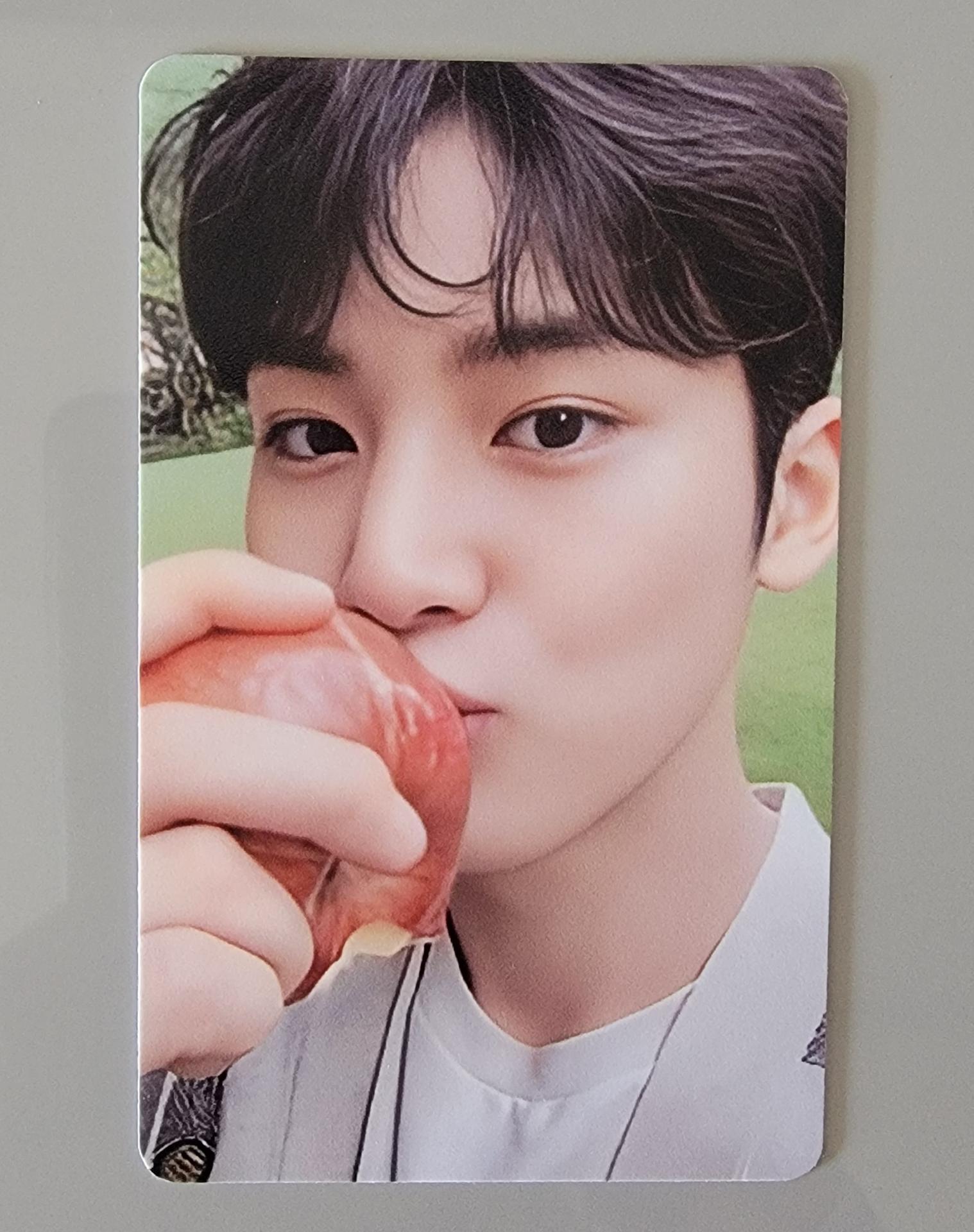 Seventeen Mingyu - Social Club Photocard