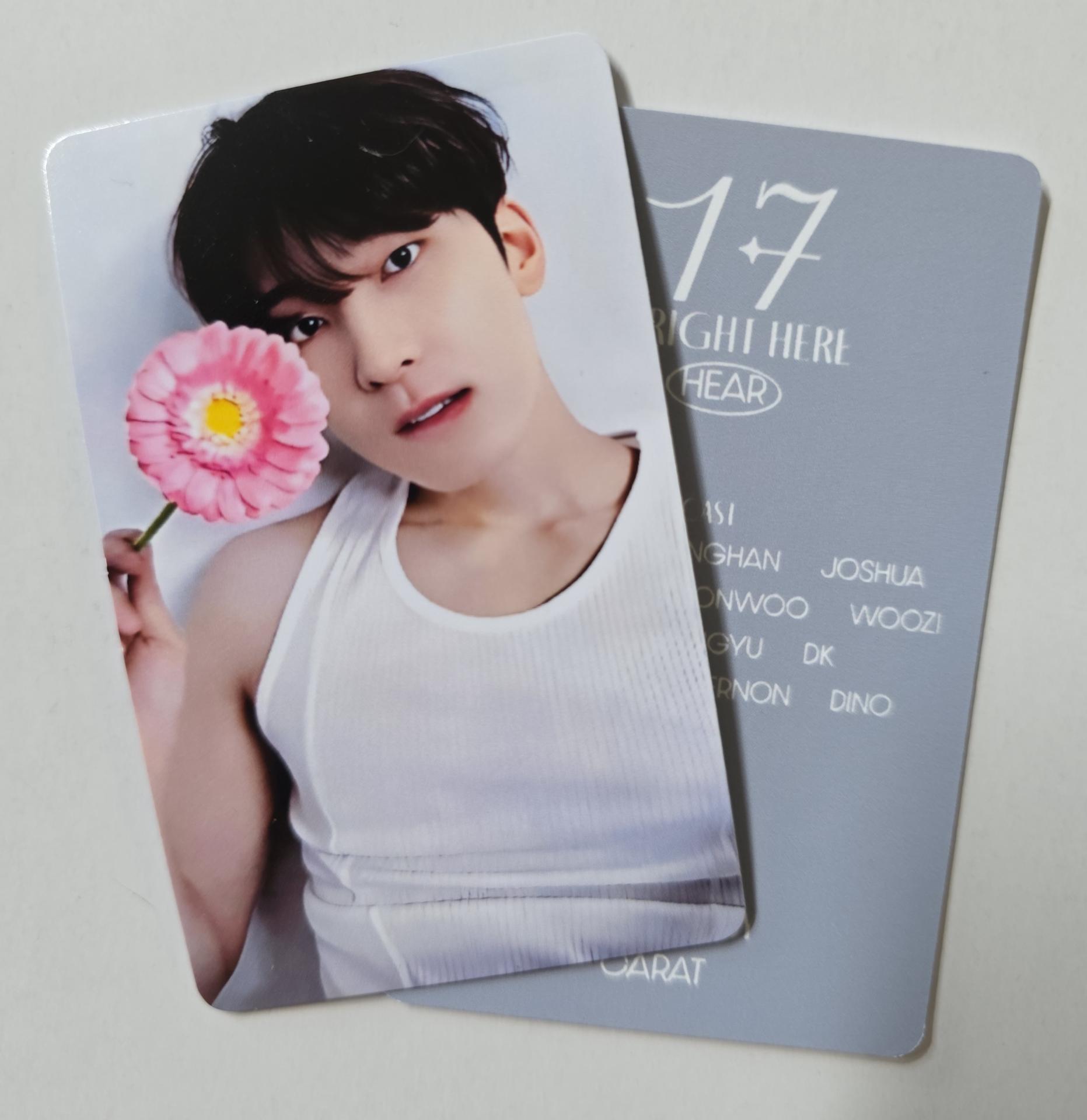 Seventeen : Wonwoo - 17 is Right Here Dear Ver Photocards 