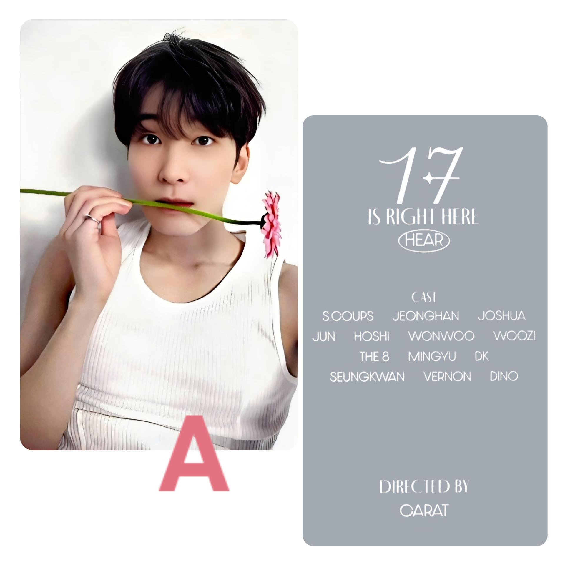 Seventeen : Wonwoo - 17 is Right Here Dear Ver Photocards 